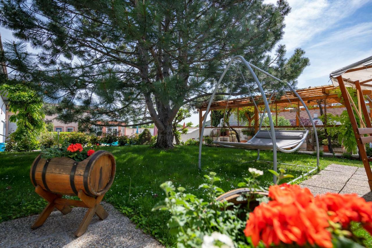 Апартаменты Sekt & Wein - Walter Klein Ильмиц Экстерьер фото